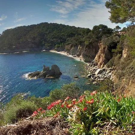 Апартаменты Proche Port Et Plages, Piscine *